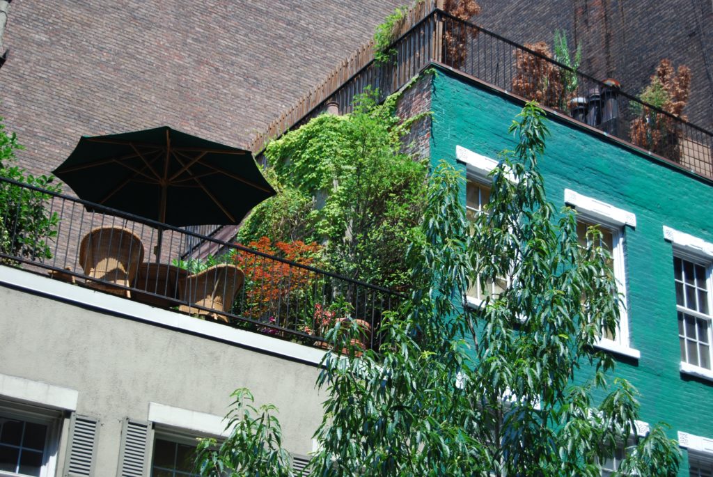 terrasse-vegetalisee-en-ville