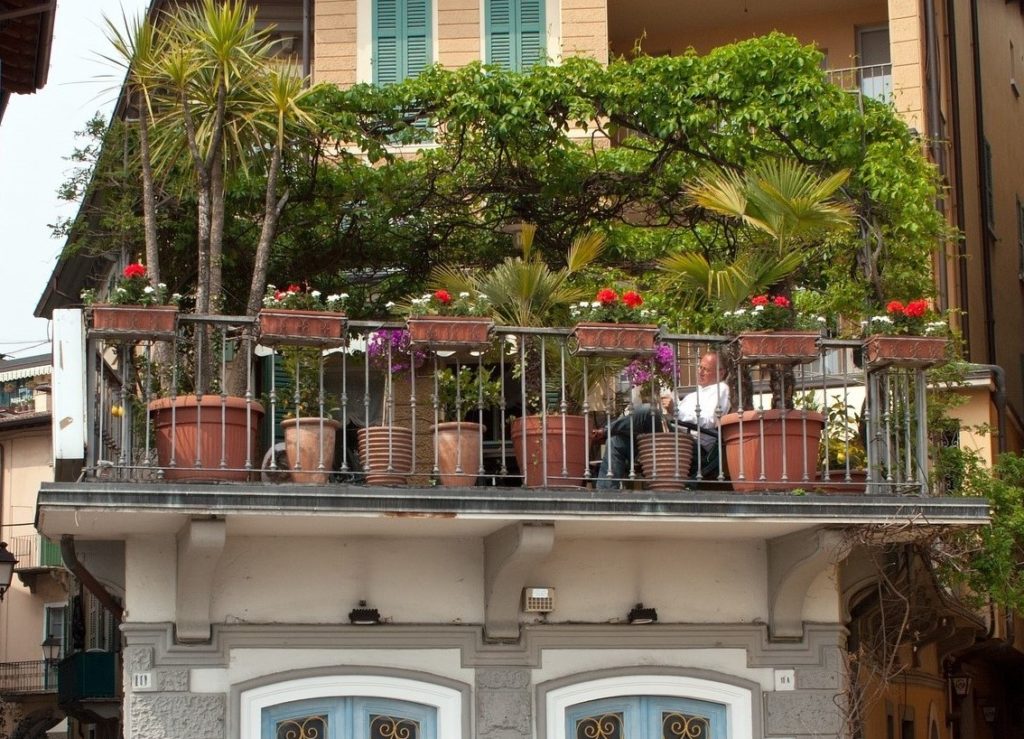 Terrasse aménagée avec plantes d'exterieur en pots