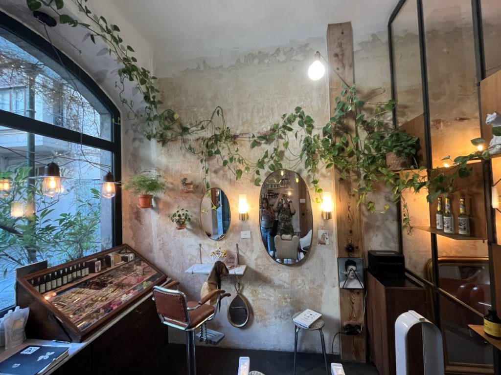 Décoration intérieure végétalisée. Une grande plante grimpante (Epipremnum pothos) serpente le long des murs.