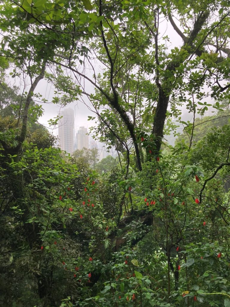 Victoria Peak Hong Kong