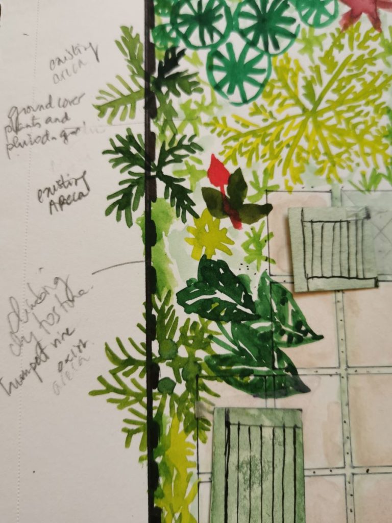 Plan de jardin tropical dessi