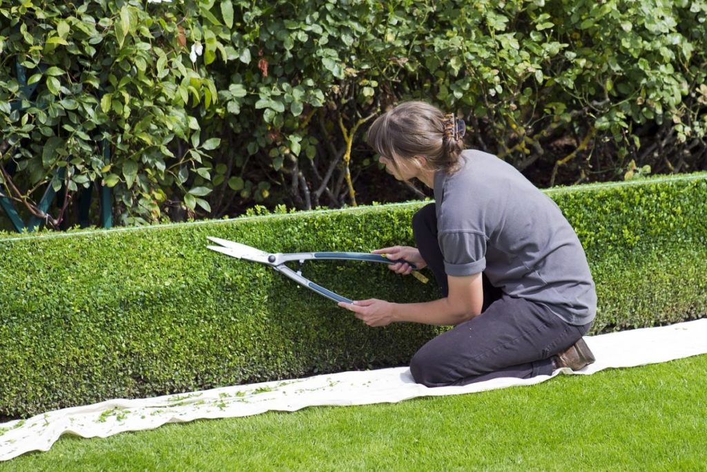 metier de jardinier
