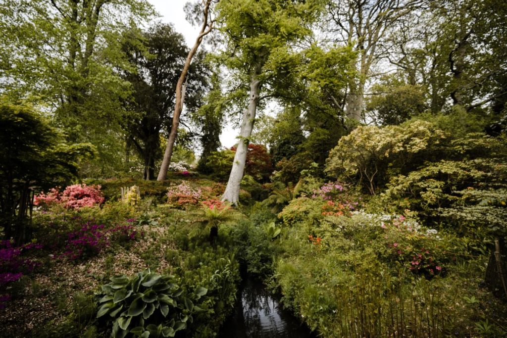 Jardin foret (non comestible)