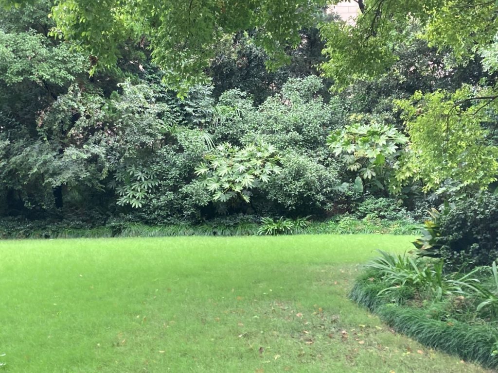 jardin typique urbain composé d arbres