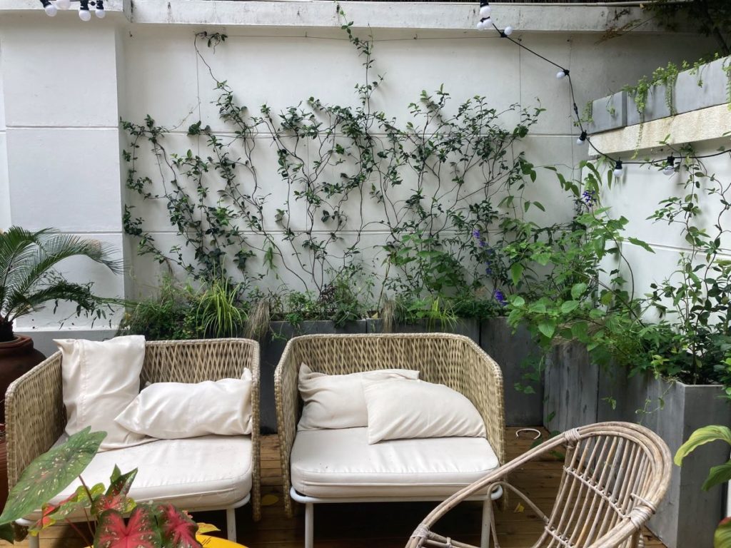 De plantes grimpantes qui occupent les espaces verticaux