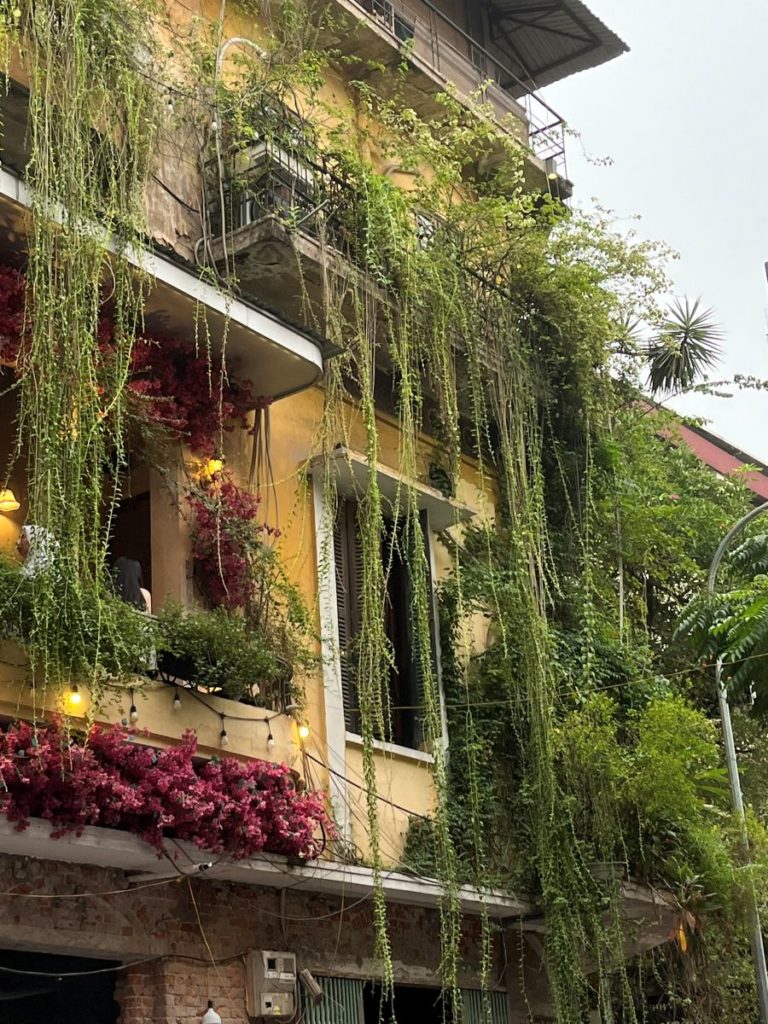 Façade d’immeuble recouverte de plantes retombantes et bougainvilliers fleuris