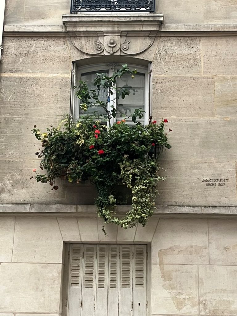 Petit balcon urbain avec géraniums rouges et feuillages grimpants retombants
