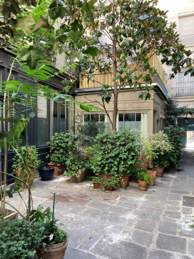 cour intérieure d'immeubles parisiens