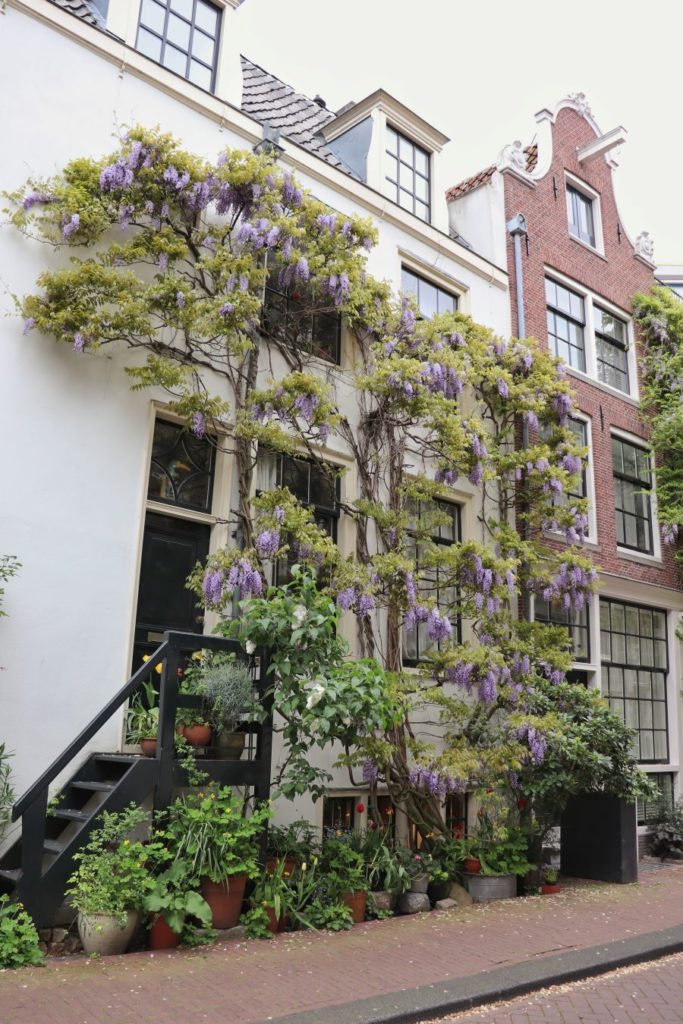 Jardin a l'entree maison