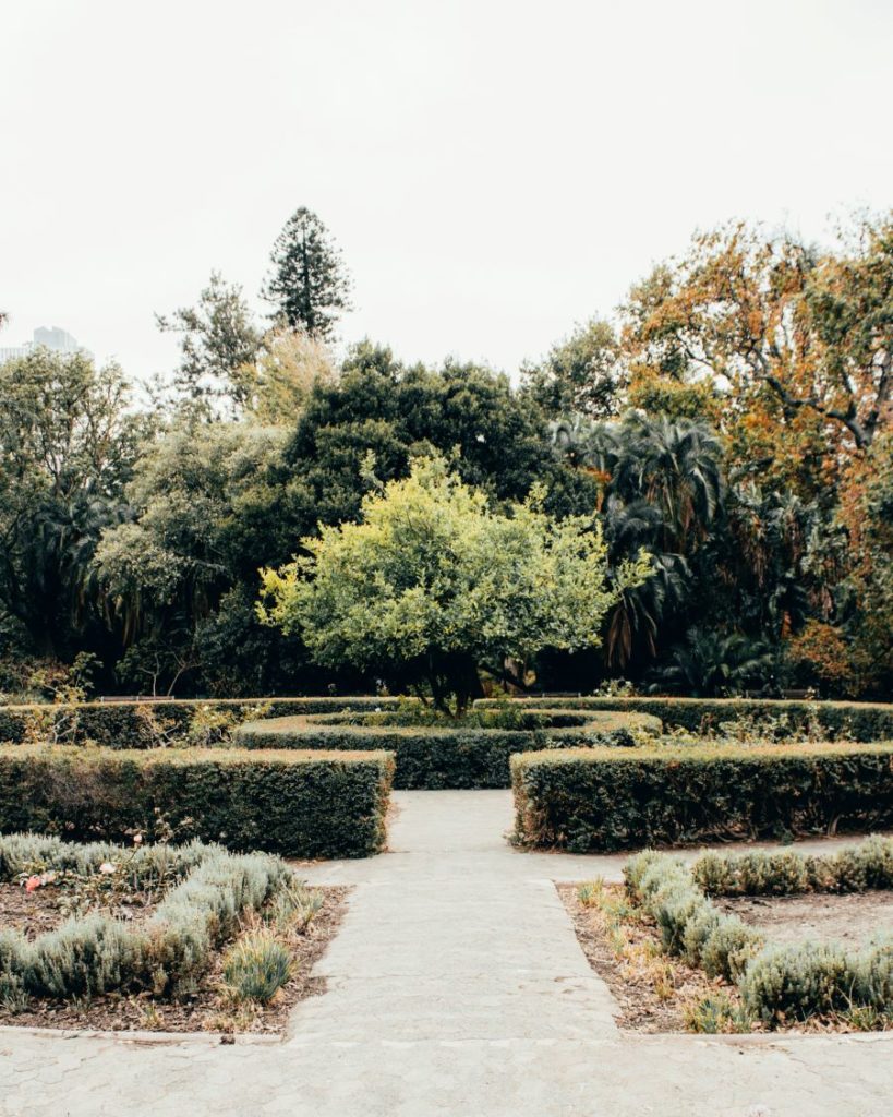 Jardin structuré délimité par des buis et végétation dans le fond