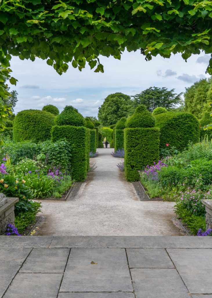 Allée centrale de petit jardin avec haies taillées et massifs fleuris créant une impression de profondeur