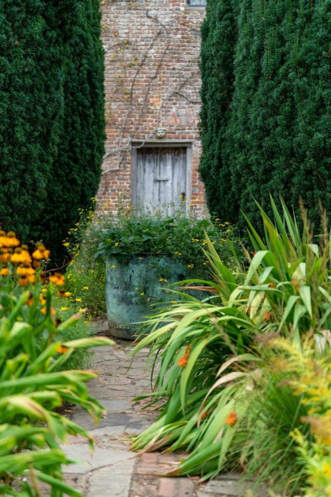 Chemin pavés, fleurs jaunes et végétation luxuriante, porte en bois en arrière-plan, évoquant un jardin secret et paisible.