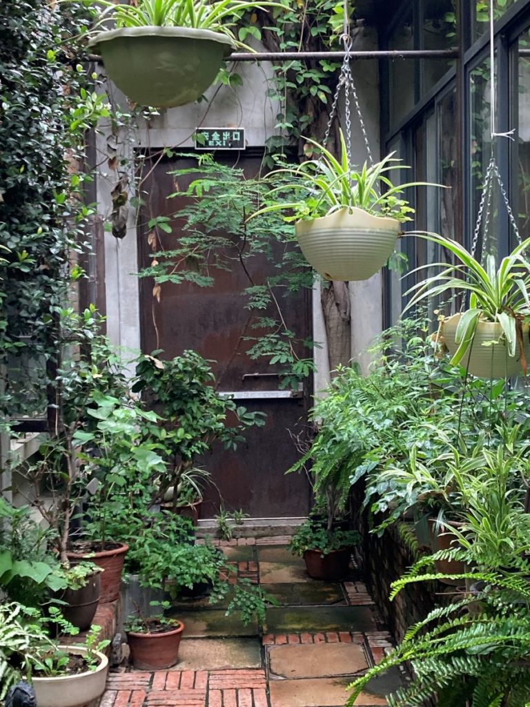jardin vertical