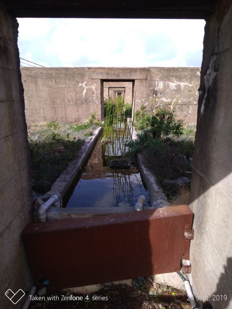 jardin inspirée par le tiers paysage à saint Nazaire, gilles clément
