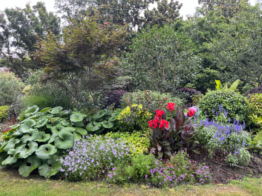 Massif de plantes - vivaces -annuelles -composé en strates