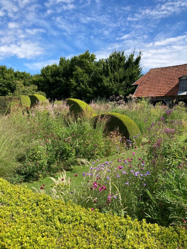Massif de plantes -Jardin plume