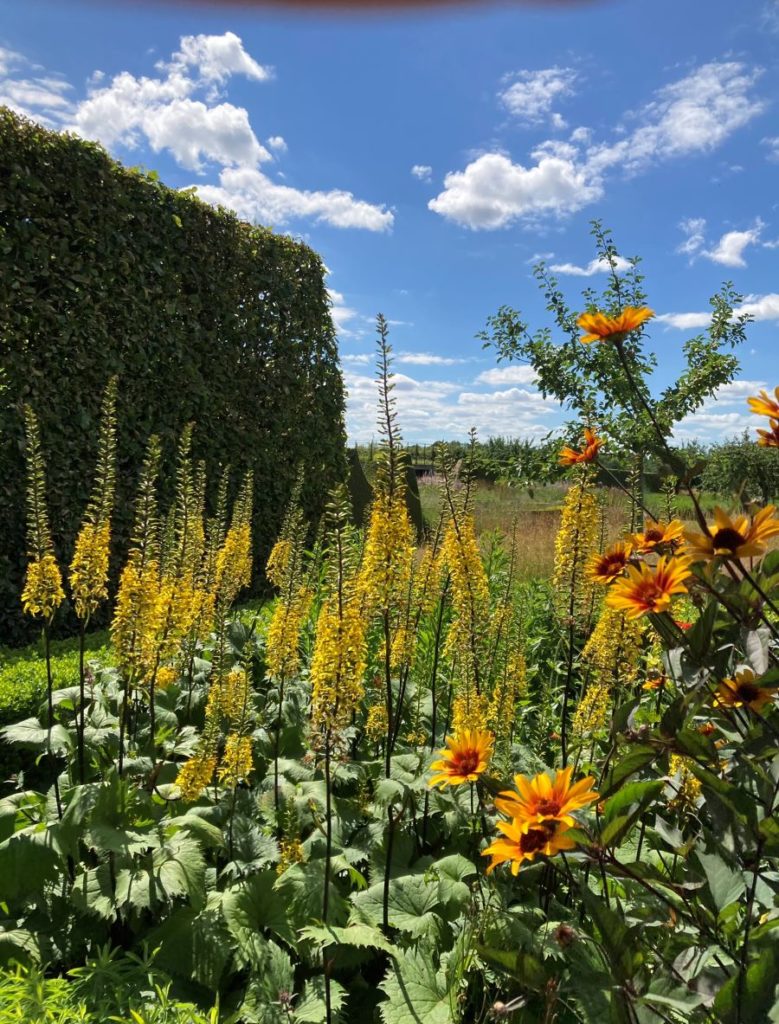 Massif de fleurs de couleurs chaudes -Jardin plume