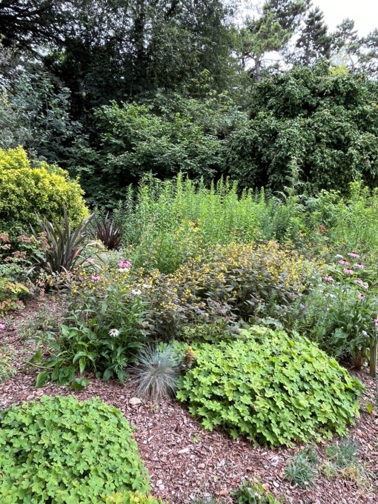Répétition de plantes dans un massif