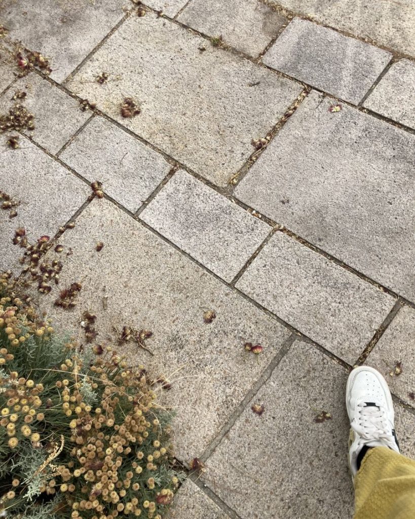 chemin en dalles de pierre régulières, avec des plantes vivaces rampantes et des restes floraux au sol, évoquant un jardin contemporain et soigné.