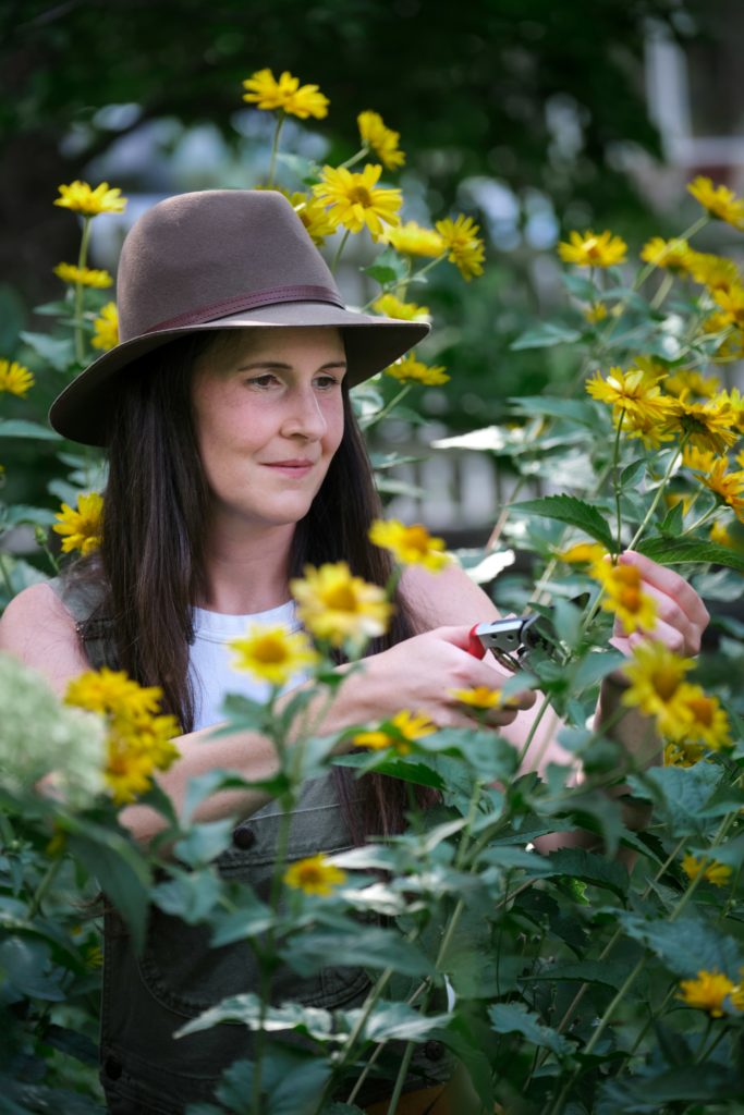 Femme avec un chapeau taillant des vivaces jaunes en pleine floraison, dans un jardin