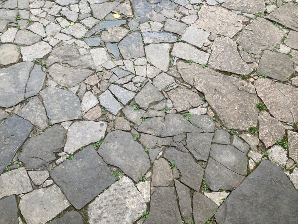 Sol pavé de pierres irrégulières (opus incertum) avec de la mousse et des petites plantes poussant entre les joints.