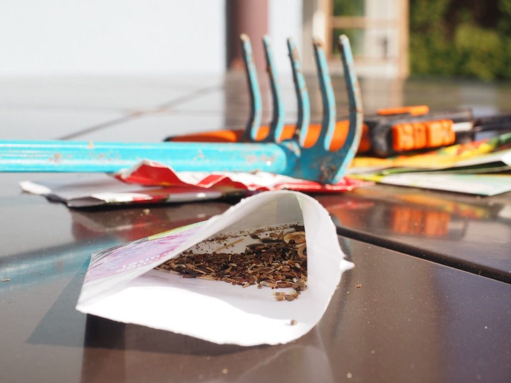 Graines dans un sachet et rateau pour un semi