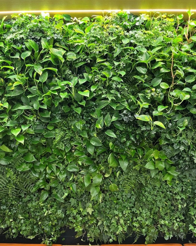 Un mur végétal d’intérieur très dense, constitué de plantes vertes variées telles que des pothos, fougères et lierres, créant une tapisserie végétale apaisante.