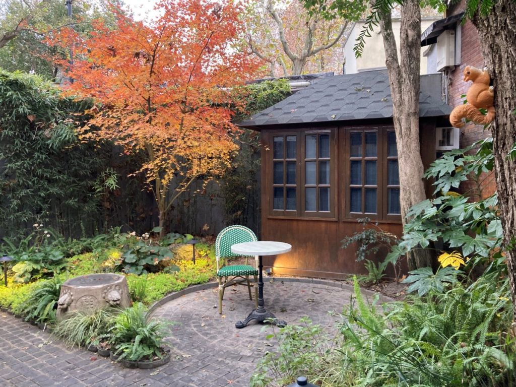 Petit jardin de ville en automne aménagé avec érable rougeoyant, fougères et coin terrasse devant une cabane en bois