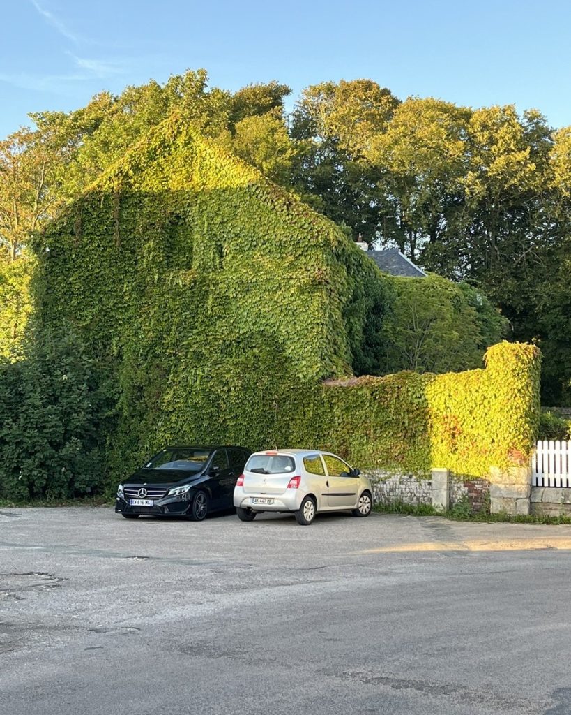 Façade d’une maison totalement enveloppée de vigne vierge, créant un effet de camouflage végétal, avec deux voitures garées devant et une lumière dorée de fin de journée