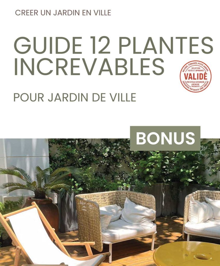 Le guide pratique des plantes increvables pour jardins de ville