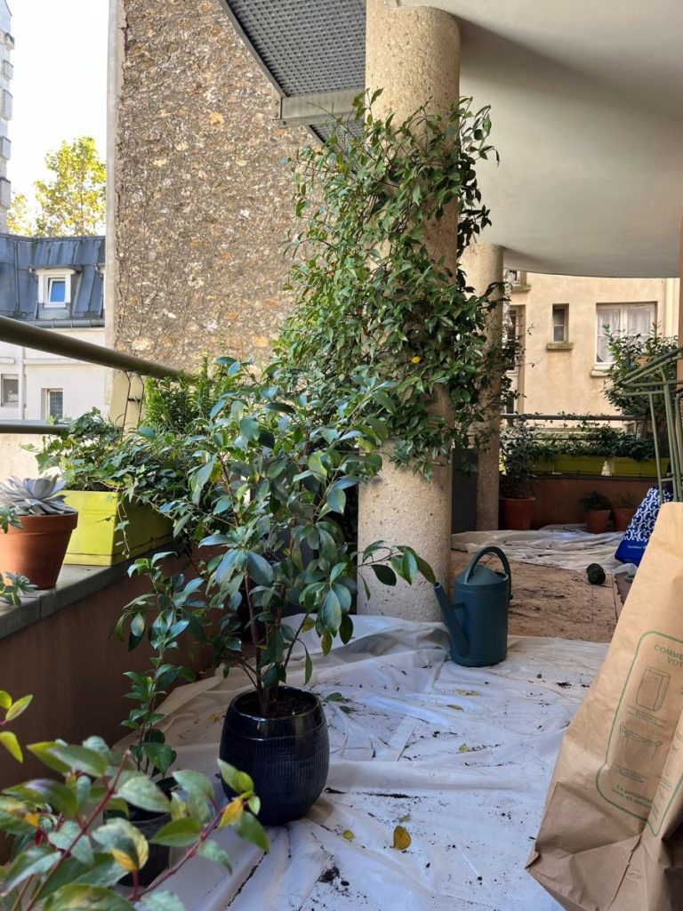 balcon végétalise avec un jasmin grimpant sur un poteau. Plantations en pot.