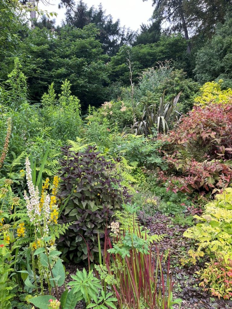 Beau massif urbain, dans un grand jardin foissonnant